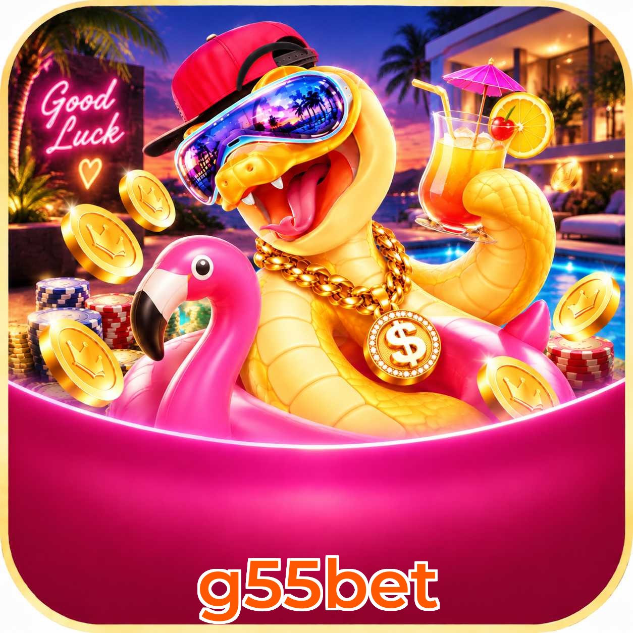 g55bet System Requirements
